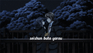 Seishun buta yarou